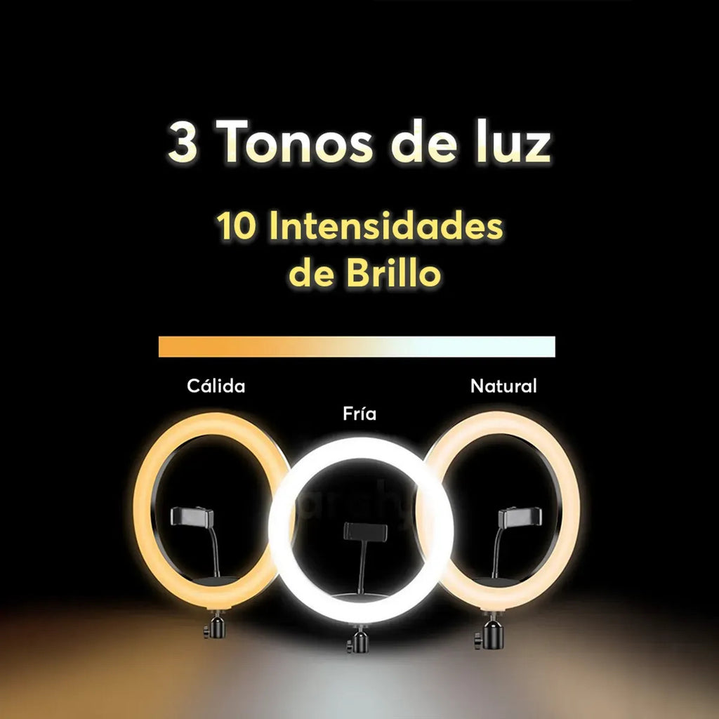 Saga Aro Luz Led 12 Pulg Tiktok Maquillaje 10 Niveles Intens